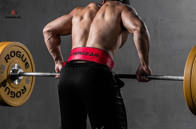 cach-su-dung-dai-lung-tap-gym-1.jpg